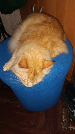 Сонятка 🤗😸🫶