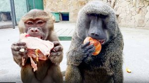 Степа всех гоняет, булки забирает! Совет от ГАМАДРИЛОВ - ешь мясо лёжа, а потом закуси булкой!