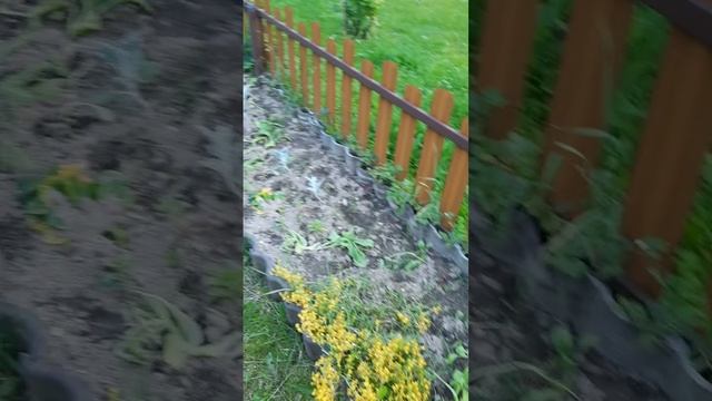 Первая половина июля.