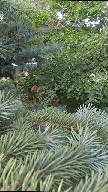 Дверь в..... смотреть онлайн