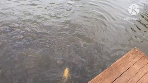 за соткой на чукотку