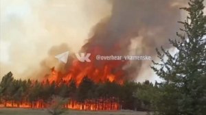 В Каменском районе вновь зафиксированы пожары в лесу. 🔥