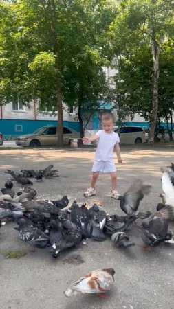 Володя 3,11 гоняет голубей во дворе