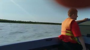 Путешествие семьёй к живописному цветению лотосов у станицы Голубицкая