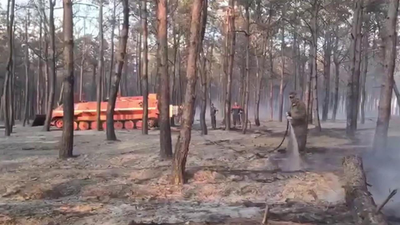 Под Симферополем горят десятки гектаров леса