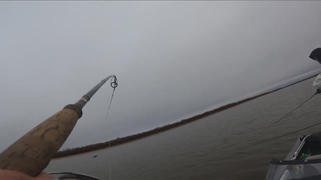 Щуки и мой трофейный судак. Рыбалка на джиг удалась смотреть онлайн