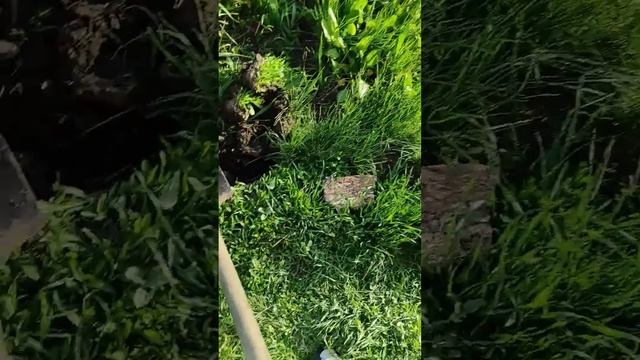 Адаптация в деревне#мамаидочь#деревня#лерахаас
