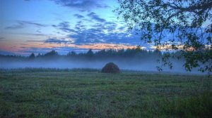 Ночка луговая .Поёт в. гр. Кубанушка . г. Апшеронск.