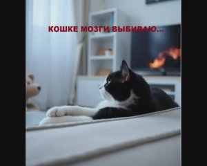 Кошке мозги выбиваю...