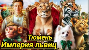 империя львиц Тюменский цирк