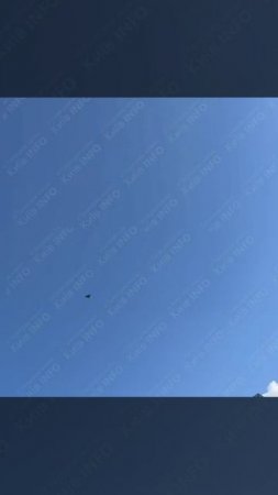 telegram-cloud-document-2-5445074235523365610
