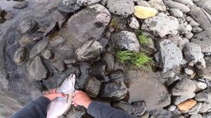 Рыбалка на реке Северная. Ловля хариуса на спиннинг. Часть вторая.