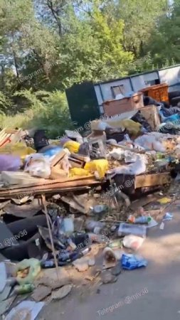 Огромная свалка прижилась по улице Волгодонской. 🤫😱