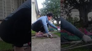 Варим шпалеру