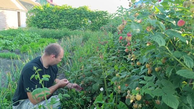 БУДНИ В ДЕРЕВНЕ/ЗАГОТОВКИ С ОГОРОДА,МУЖ В ДЕЛЕ/ТРАТА ДЕНЕГ, ПОКУПКИ/ПОДАРОК ОТ БАБУШКИ