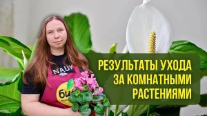 Результаты ухода за комнатными растениями