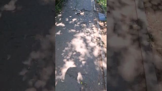 С этой дорожкой на бульваре Победы что-то не так. Не можем понять, что. 🤔