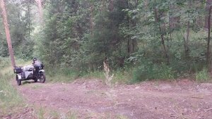 поездка на мотоцикле урал, на рыбалку, на рекчке Рефт..mp4
