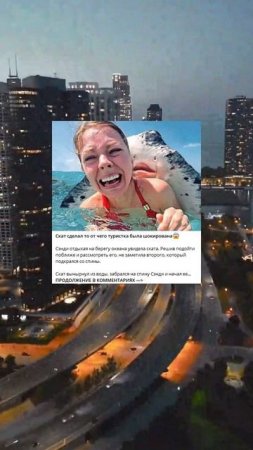 I_82_Скат сделал то, от чего туристка была шокирована_3