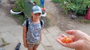 Воскресный день.Гостинцы.Домашние хлопоты.