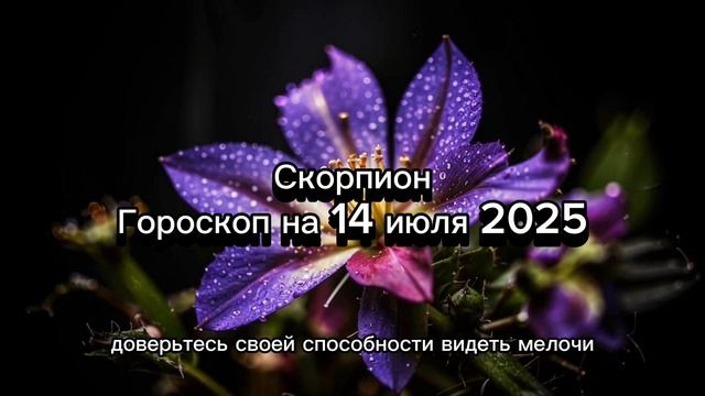 🔮 Скорпион, 14 июля 2025: Время трансформаций! ♏️ Гороскоп на день!
