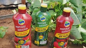 Морской коктейль для овощей и клубники! Были на даче! Собрала крыжовник! Варю варенье!