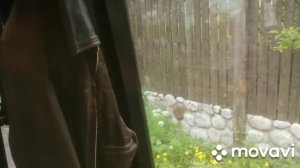 MovaviClips_Video_20250712-012315.mp4