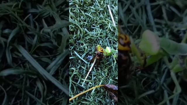 1000016913.mp4