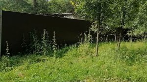 13.07.2025.Д.Благое.Домодедово.Московская область. Обзор проведённых работ. Решаем проблемы вместе.