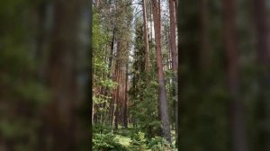 Отпуск в Архангельской области. Работаем и отдыхаем.