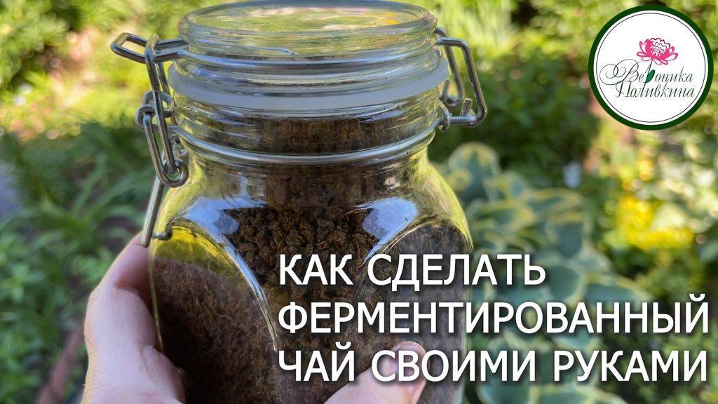 ЗАГОТАВЛИВАЕМ СВОЙ ЧАЙ. ВКУСНО, ПОЛЕЗНО, ВЫГОДНО.