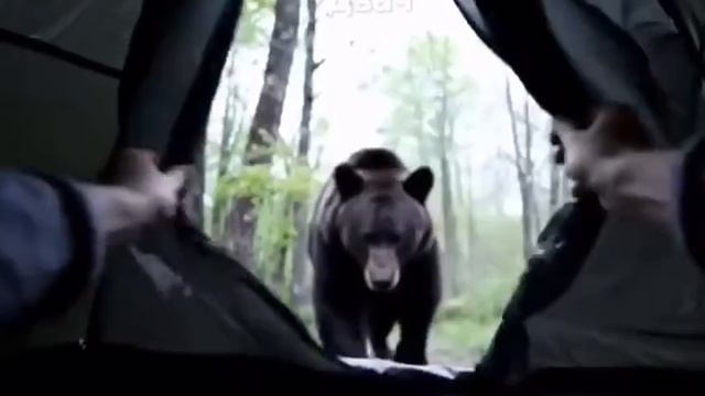 🔴Русский медведь🖕😂🖕🔴