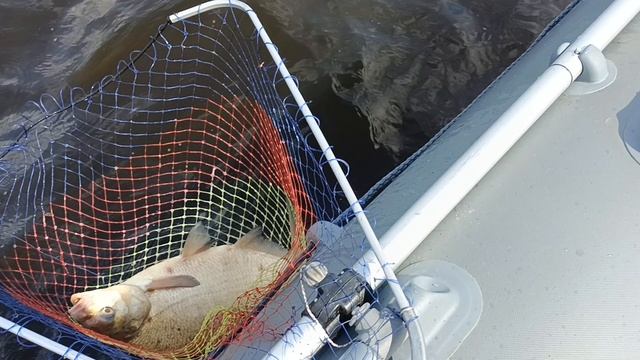 Очередной лещишка смотреть онлайн