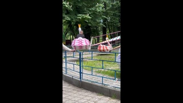 Чудики_из_ТИК_ТОК_🤣😎👍_,_лучшие_приколы_и_видео__#61