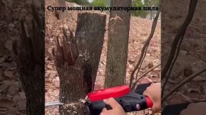 Электропила в работе