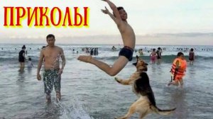 Смешные видео - Лучшие ПРИКОЛЫ 2025 СМЕШНО ДО СЛЕЗ ОТБОРНЫЕ Русские приколы