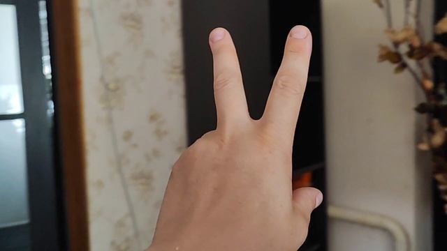 Я СЕБЯ НЕ УЗНАЮ/ КАК ДО ТАКОГО ДОКАТИЛАСЬ/ СМОТРИТЕ ЧТО ПРИДУМАЛА НАША ВЫДУМЩИЦА