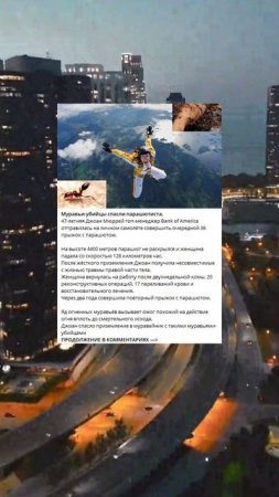 L_83_Муравьи-убийцы спасли парашютиста._4
