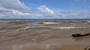 На берегу реки Волга