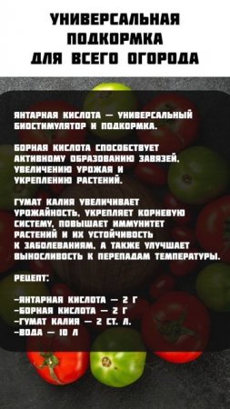ЭФФЕКТИВНАЯ подкормка для всего сада! #сад #подкормкарассады #рассадаё