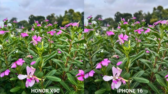 Honor X9C vs iPhone 16 сравнение камер! смотреть онлайн