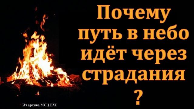 Через страдания в небо ❤️ Проповедь МСЦ ЕХБ