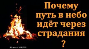 Через страдания в небо ❤️ Проповедь МСЦ ЕХБ