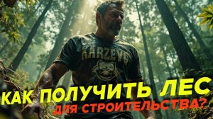 Как выписать лес для строительства через Госуслуги | Вологодская область