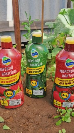 Купила Морской коктейль для растений!👍👍👍