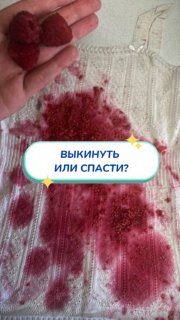 ЯГОДНАЯ ТРАГЕДИЯ? Не проблема! 💥 Артикул на WB #93550775 💫OZON #655295171