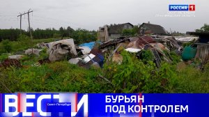 Вести Санкт-Петербург. Выпуск 14.30 от 13.07.2025