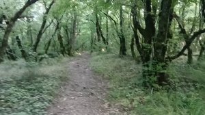 Рассекаю большими шагами по горе в Архипо-Осиповке на Чёрном море