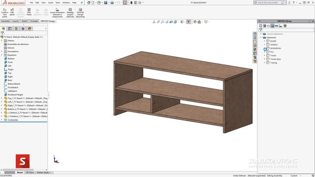 20. What is SWOOD_ 1_3 - Overview