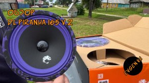 DL Audio Piranha 165 v.2